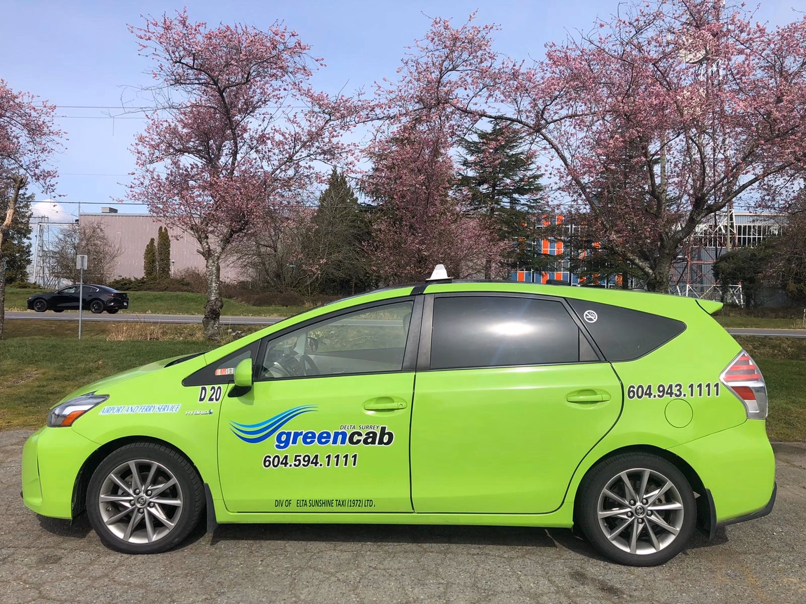 Is Delta taxis honesty a good policy?