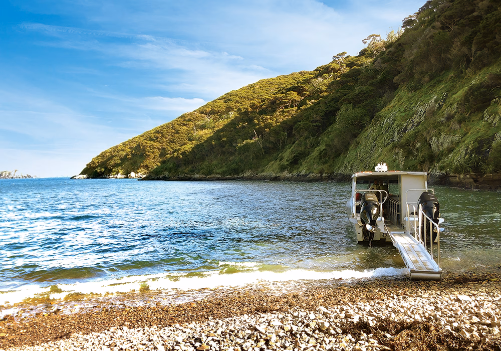 Is there a fee to access the Cape Brett track?