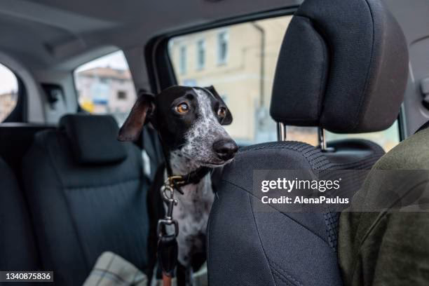 Do minibus drivers have to provide child car seats?