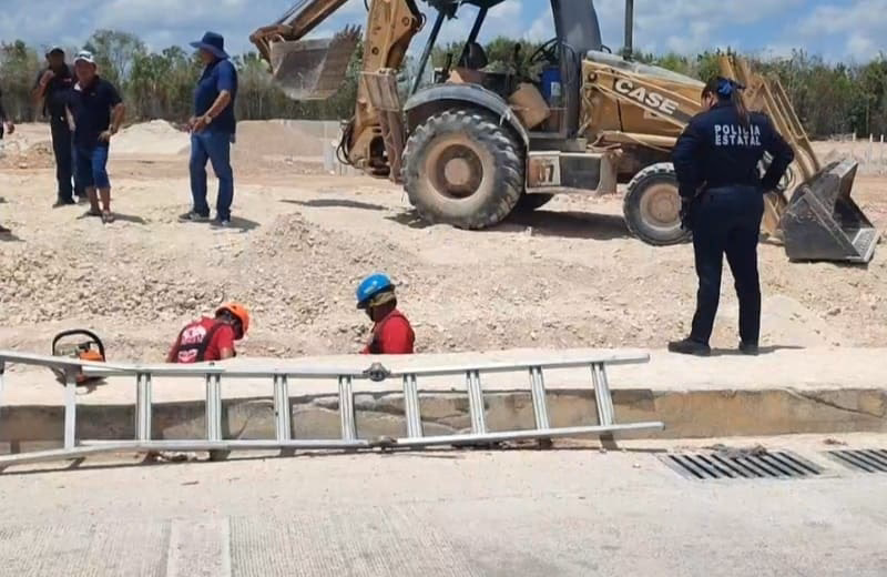 Who steals the most cars in Britain?