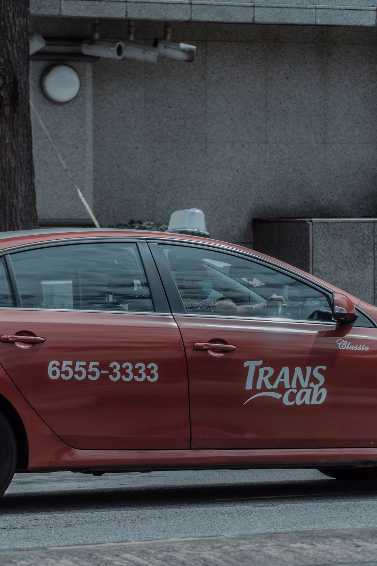 What can Carlton cars do for You?