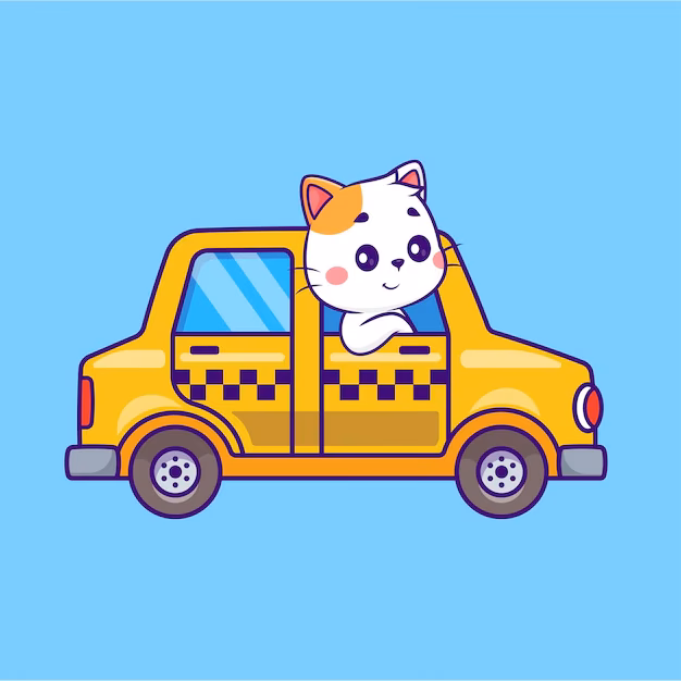 What is a cat D car?