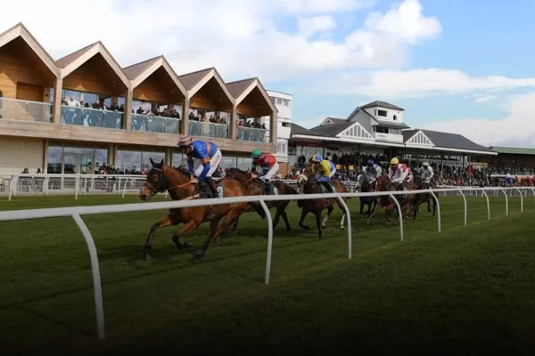 What companies run services between Northallerton and Catterick?