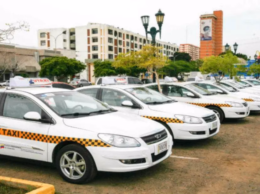 What services does CCS offer?