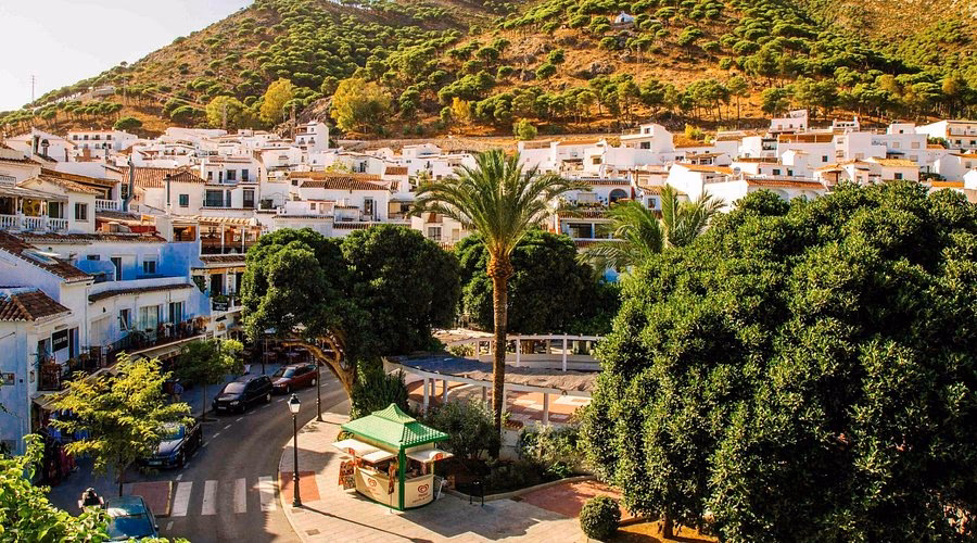 What makes a taxi Mijas a good company?