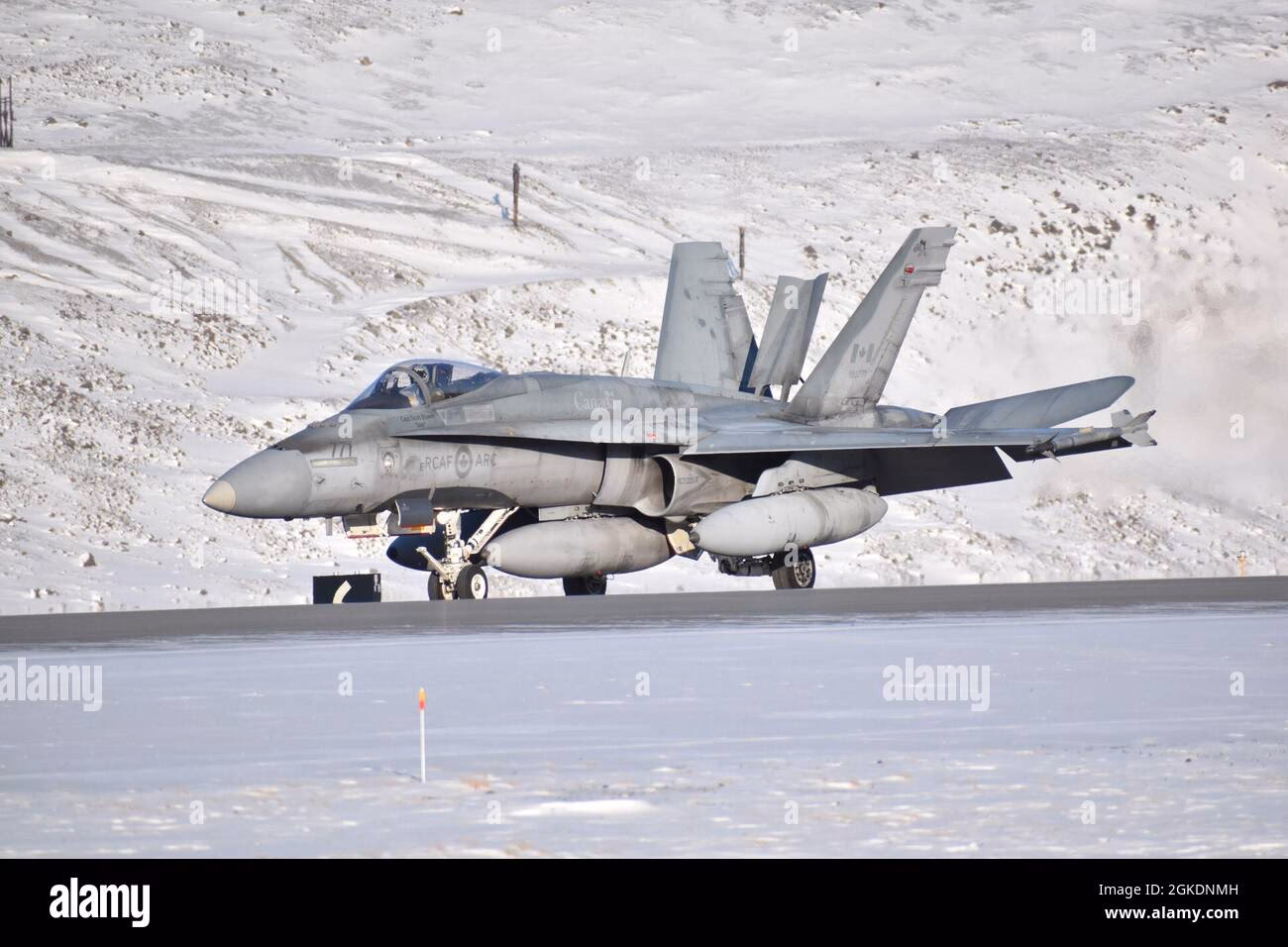 How is CF motoring services monitored?