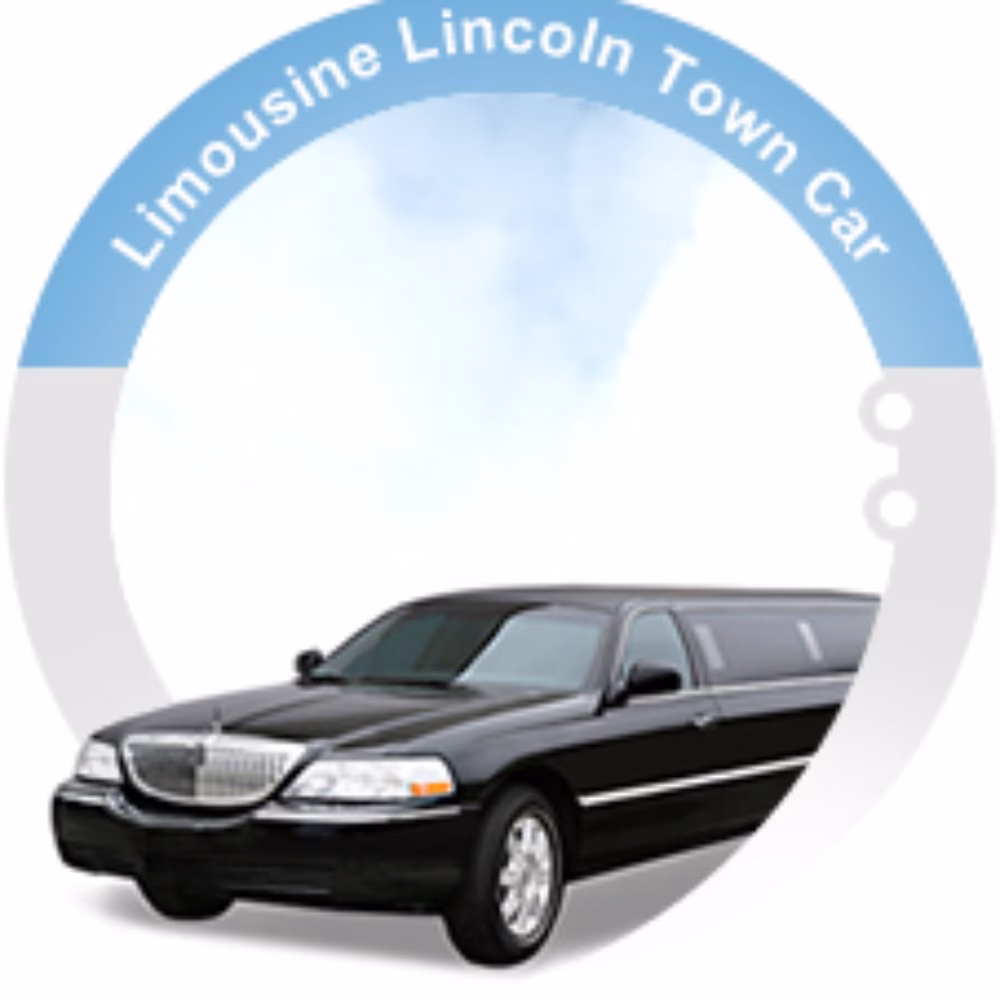 Who is Lincoln minibus taxis?