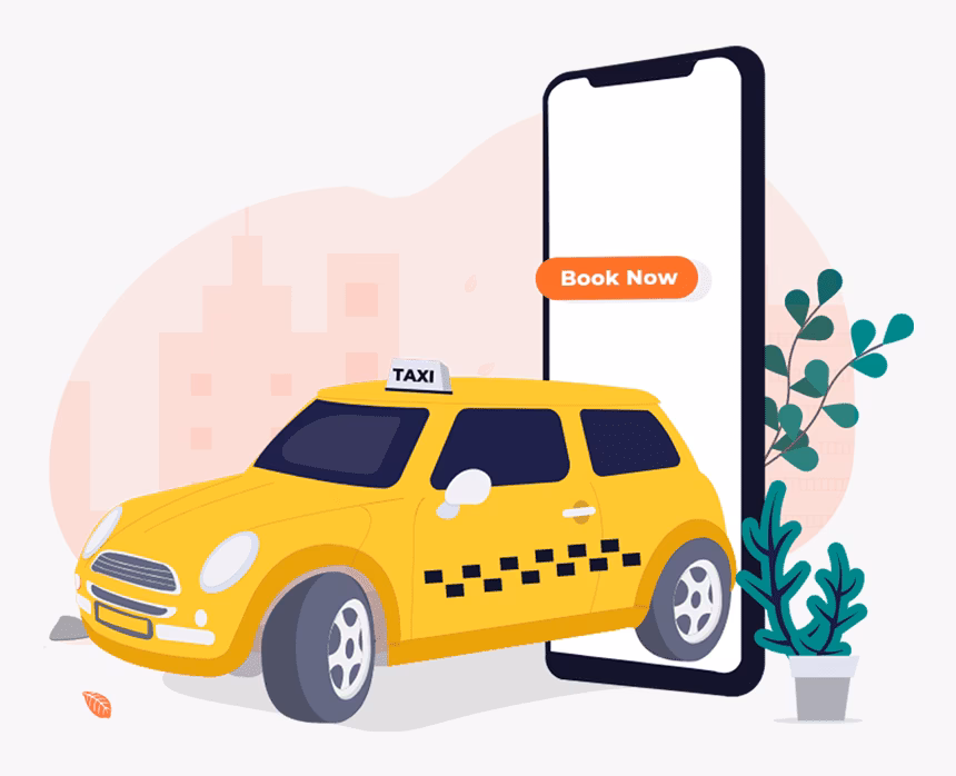 How many vehicles does Dunedin taxis have?