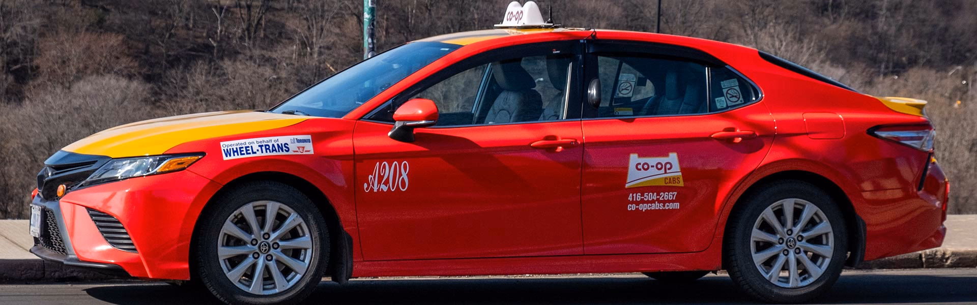 Where is Totton & Eling?