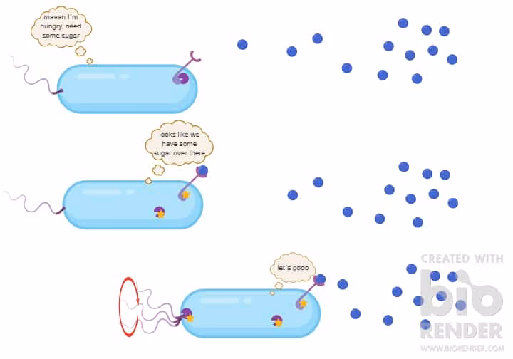 How does chemocars help cancer patients?