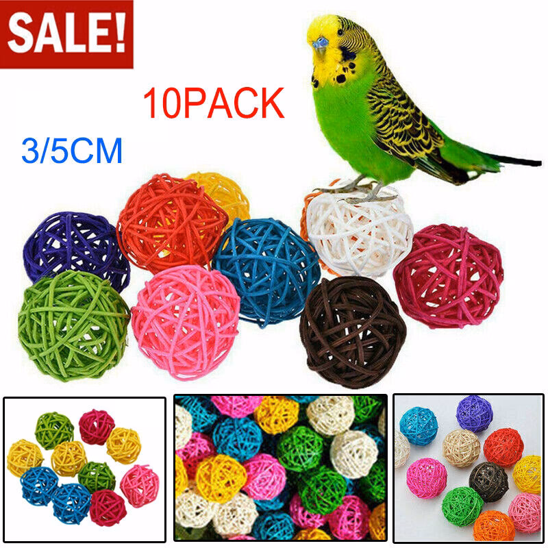 What do budgies like to eat?