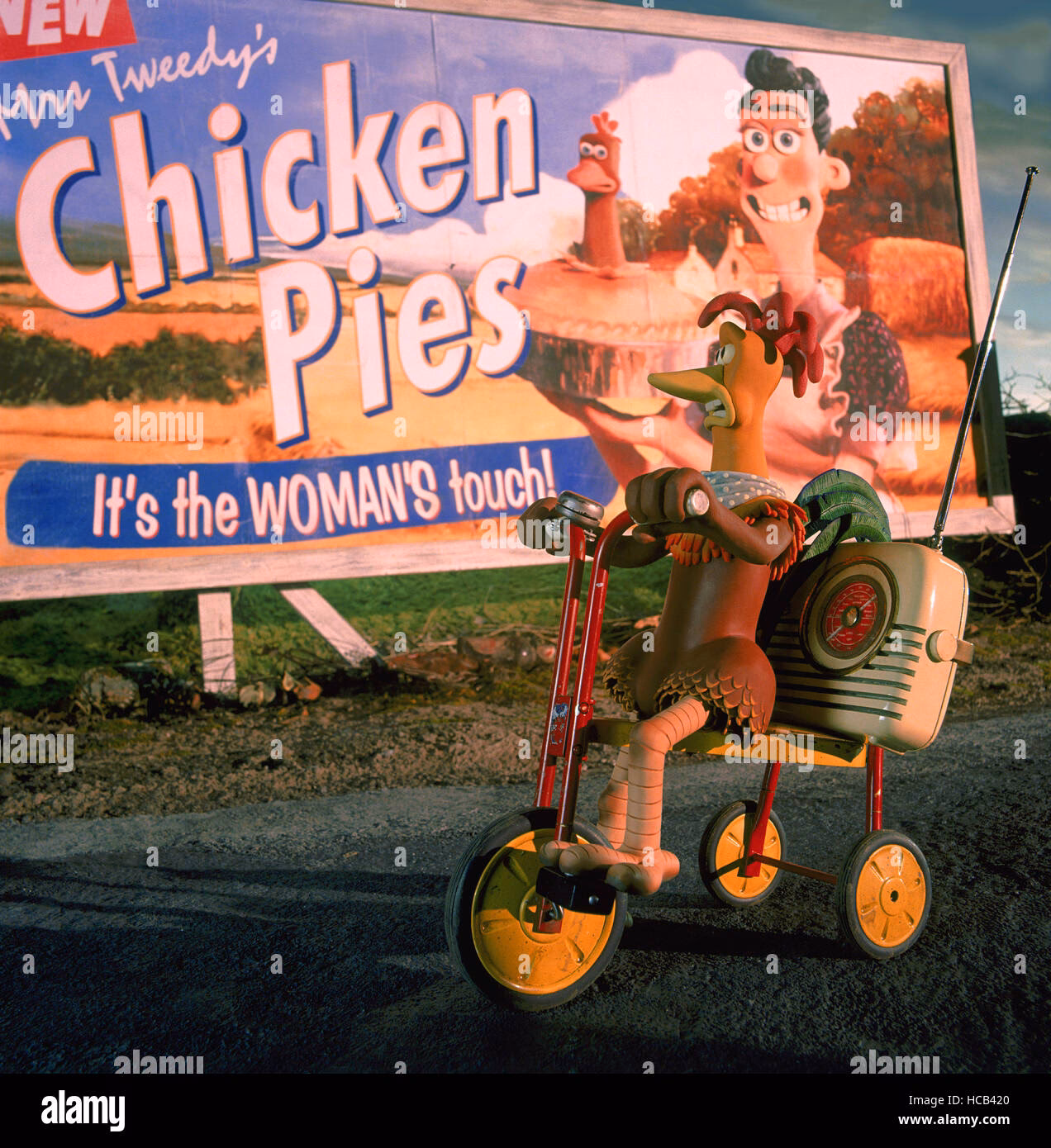 What is a large chicken run?