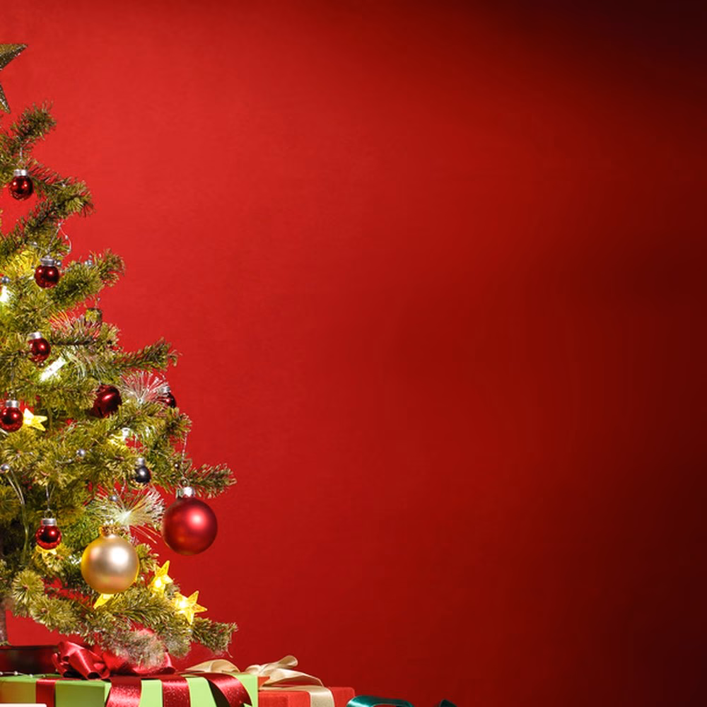 How much does Christmas Day cost at Burntwood court?