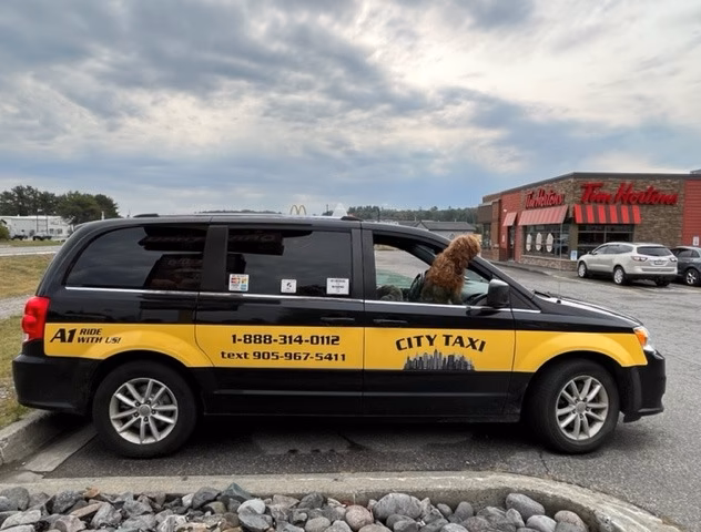 Who is York City taxi?