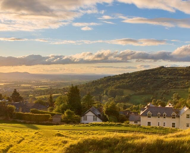 What types of taxis are available?