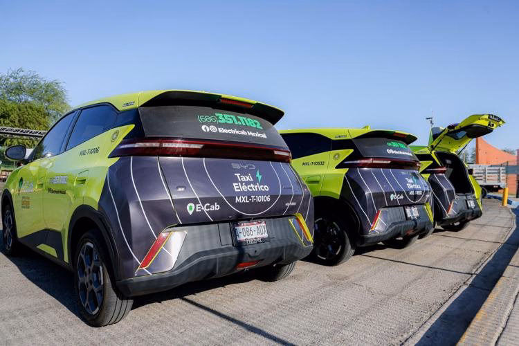 Who is a line taxis?