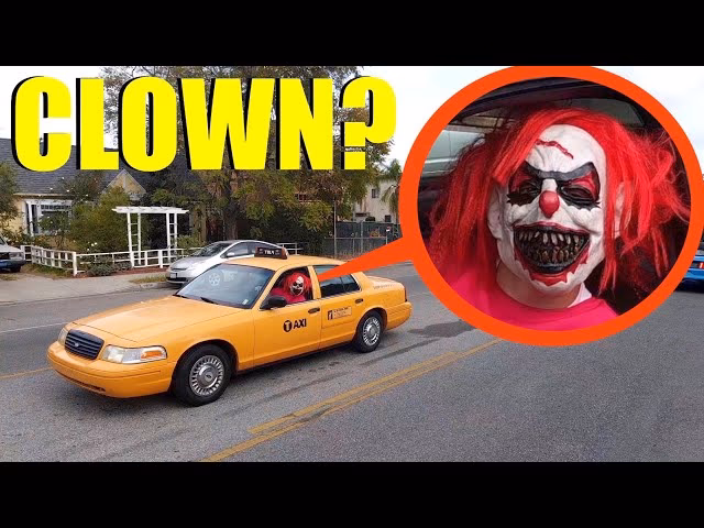 Where can I find the best taxi cabs and private hire cars?