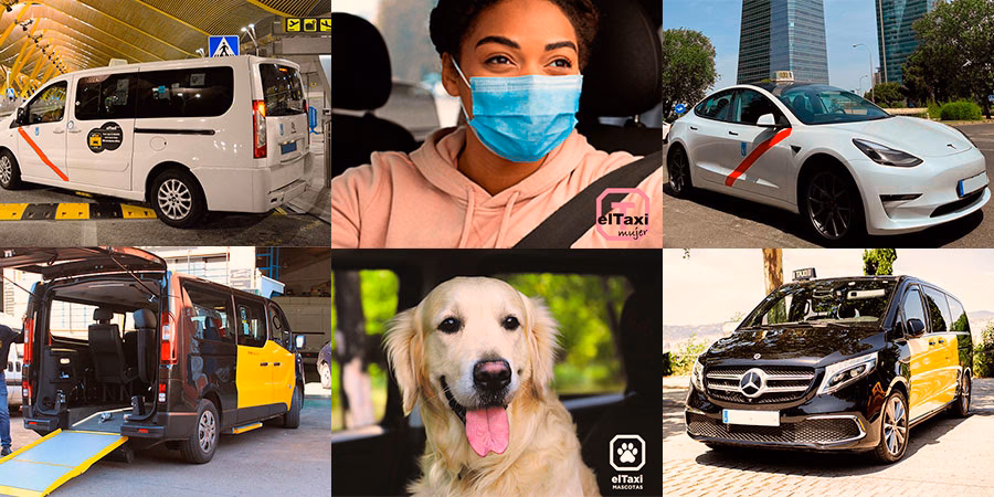 ¿Dónde se encuentra el servicio de taxi?