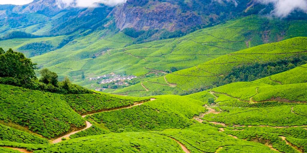 Can I book a taxi from Coimbatore to Munnar?