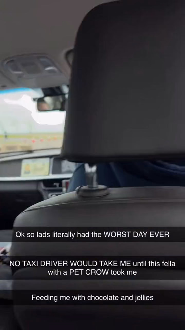 Did a 20-year-old eat a crow from a taxi?