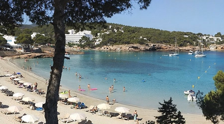 Is there a bus from Cala Portinatx to Ronda suministres?