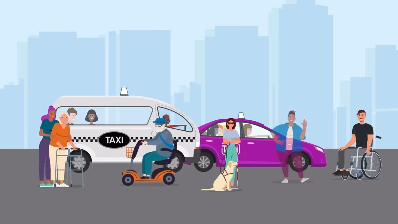 What is the taxi user subsidy scheme (Tuss)?