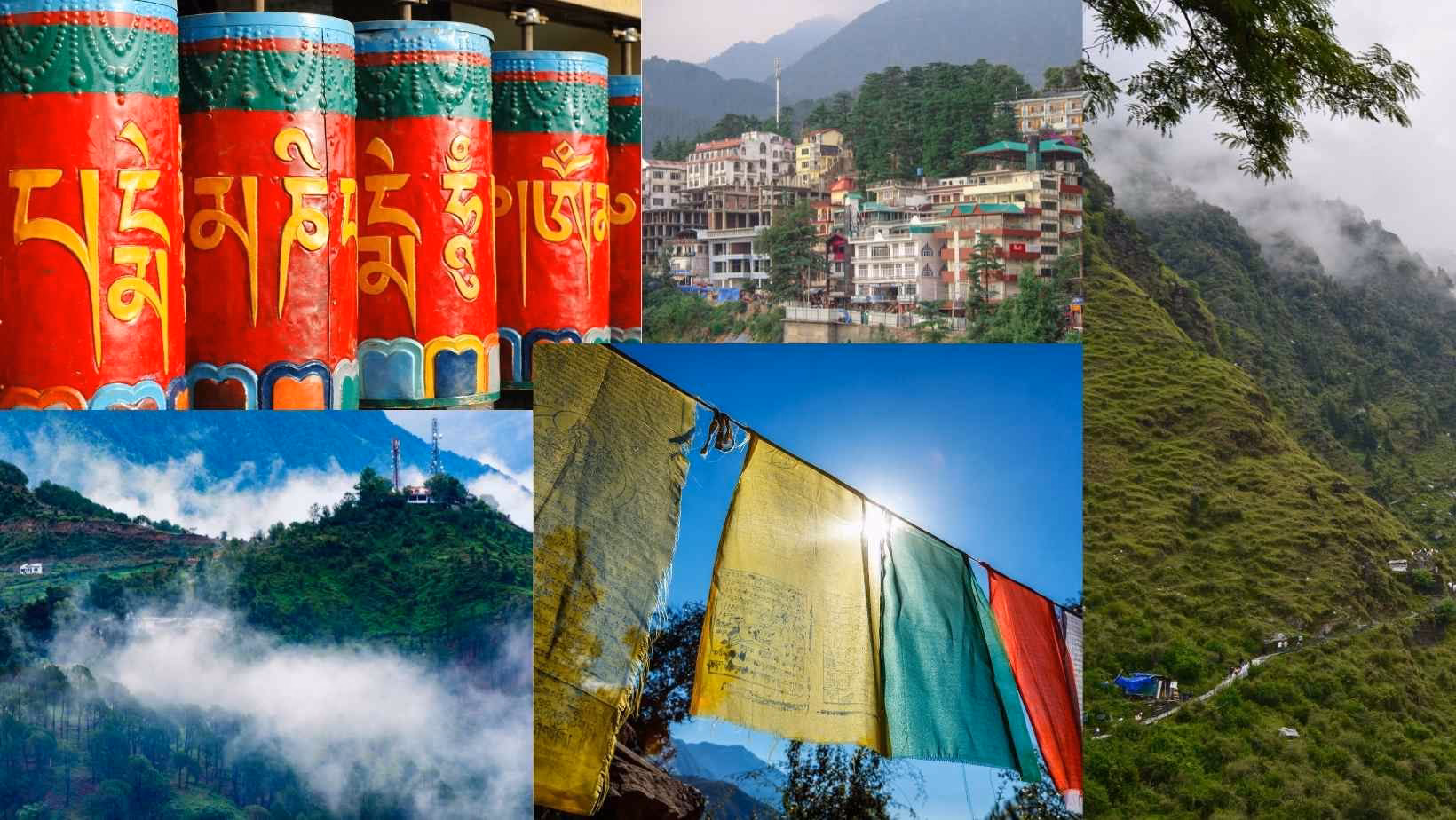 How to get to Bir from Pathankot or Dharamshala?