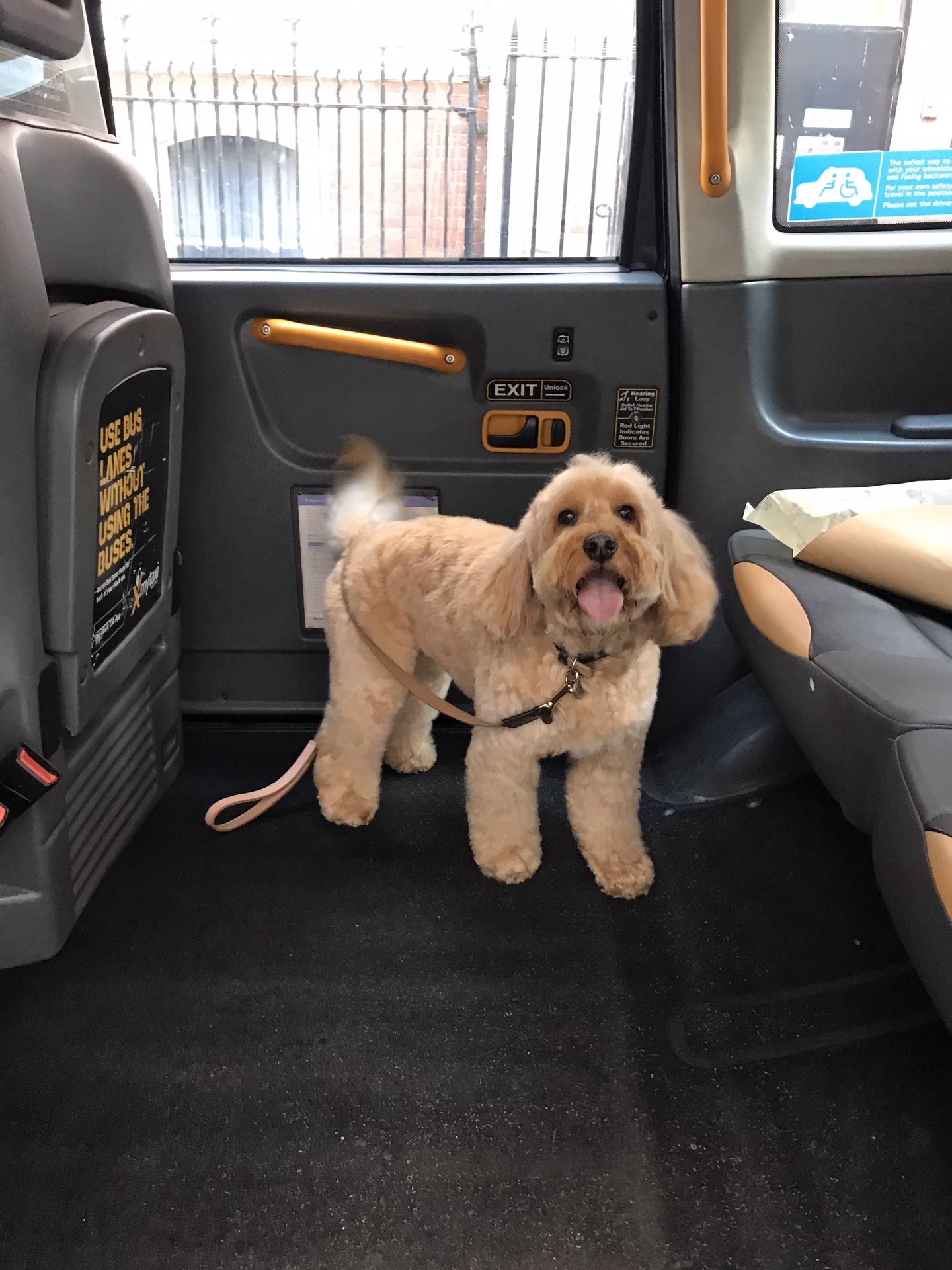 Can a hackney carriage vehicle carry a disabled passenger?