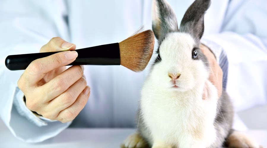What is cosmetic testing on animals?