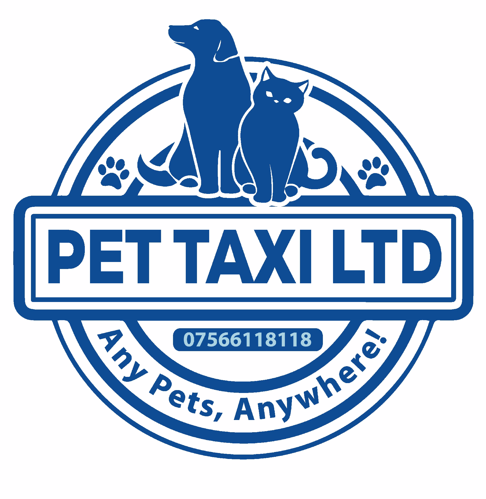How to take a pet in a taxi?
