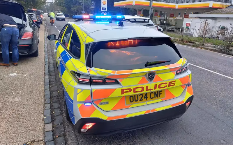 What if the police stop you while driving?