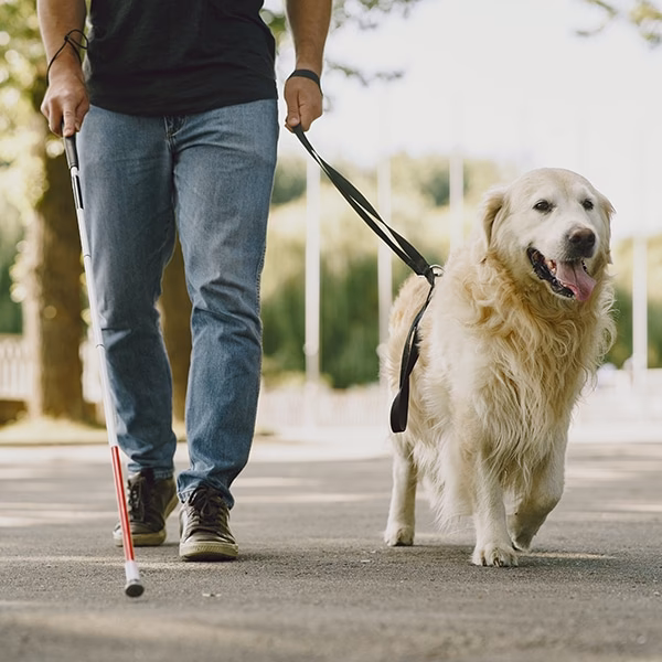 Can a taxi driver refuse a guide dog?