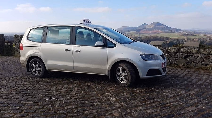 What makes DoD's taxis a great taxi business?