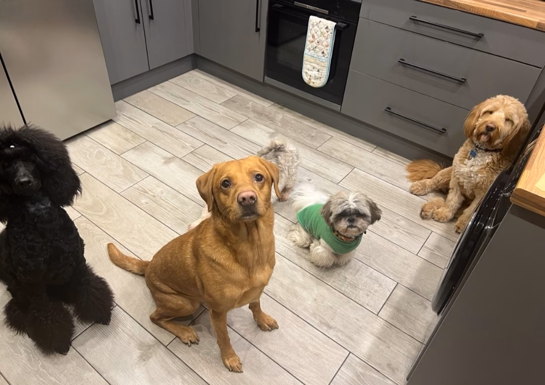 What services does Kirkcaldy cabs offer?