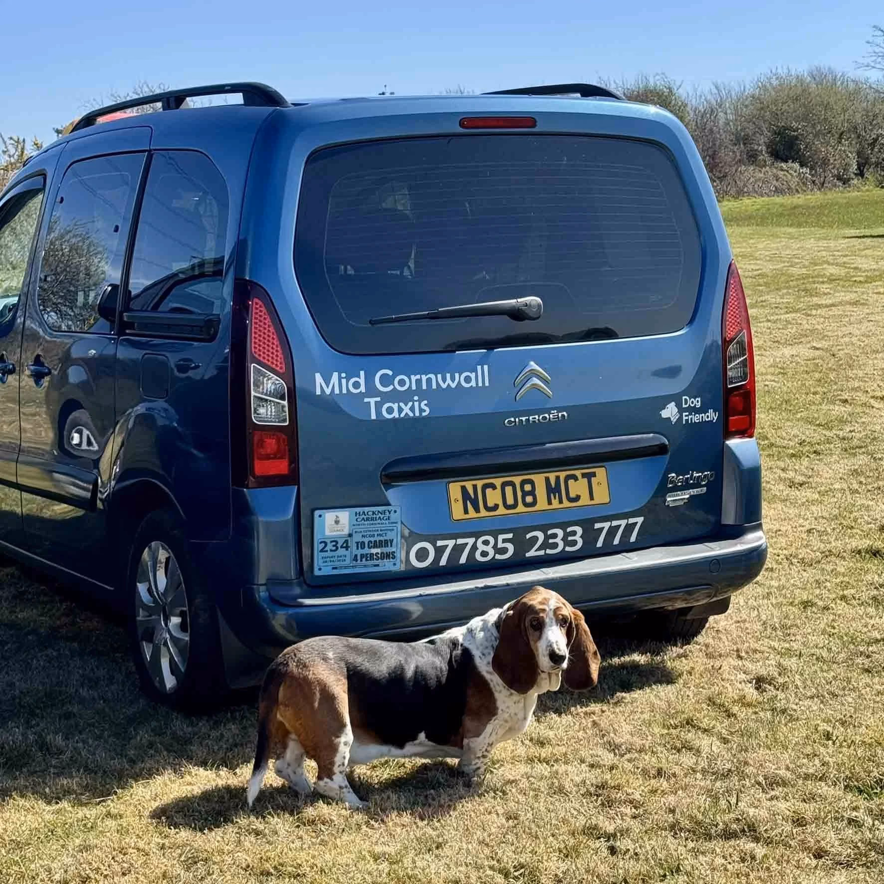 How many wheelchair accessible vehicles are there in Warrington?