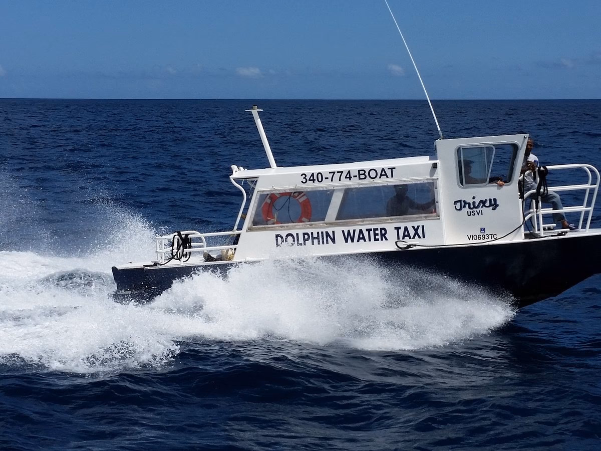 Does Dolphin Water Taxi have a bag claim counter?