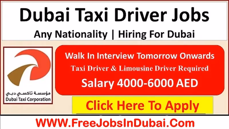 Who operates official taxis in Dubai?