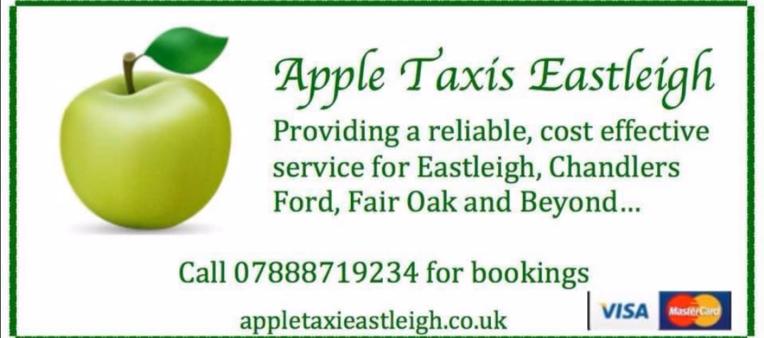 Will Eastleigh Borough Council provide a taxi or private hire service?