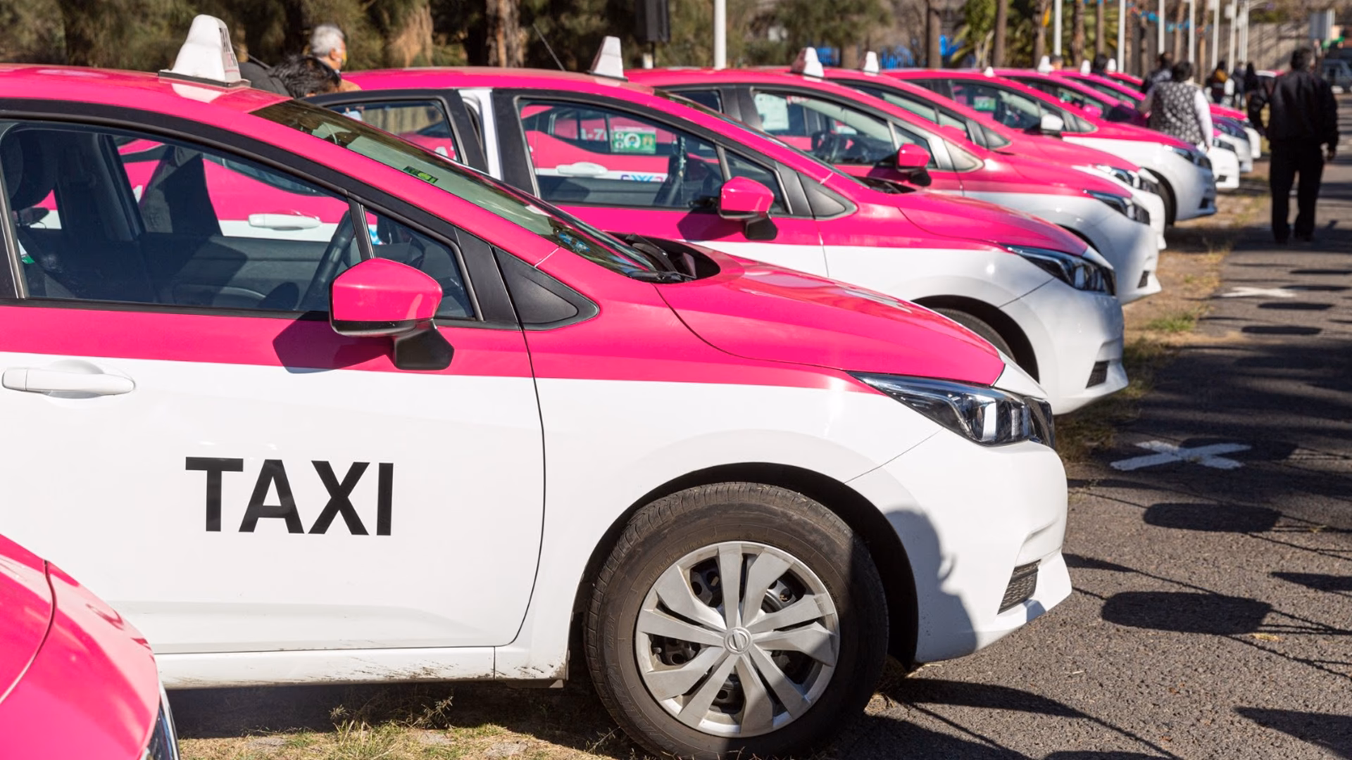 Who are Torbay extra taxis?