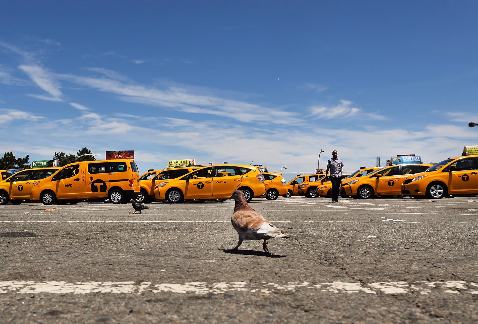 How much does ftax cost?