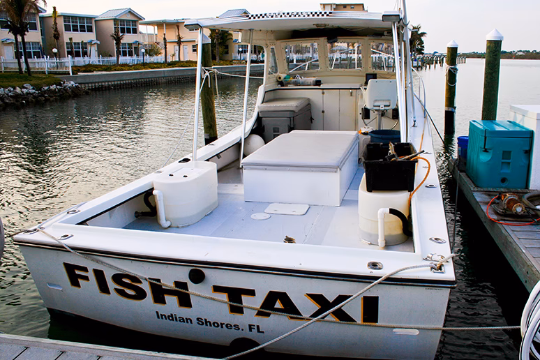 Where can I fish in Sussex?