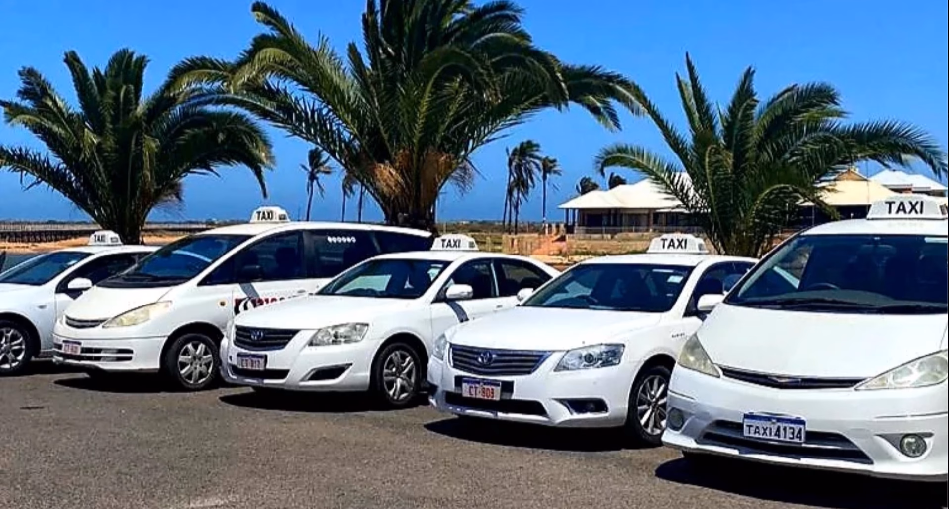 How do I report a freebie AD in Exmouth?