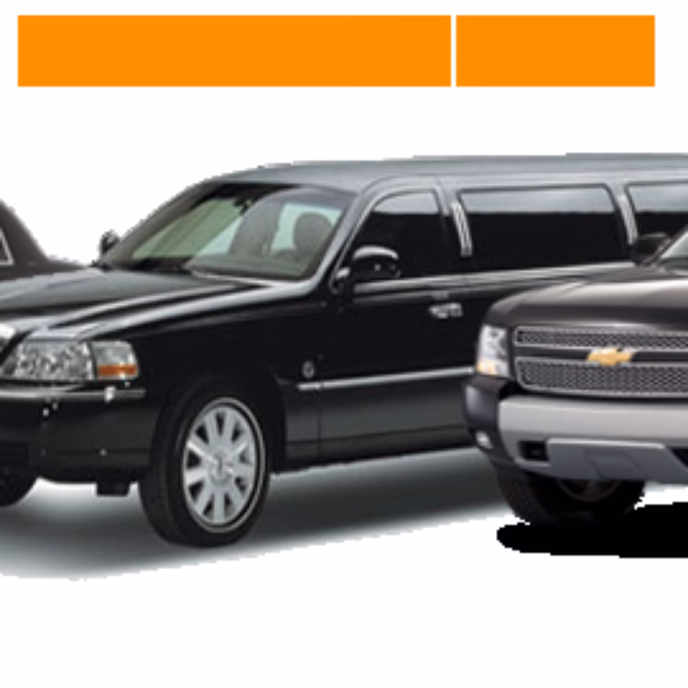 What services does friendly charter service offer?