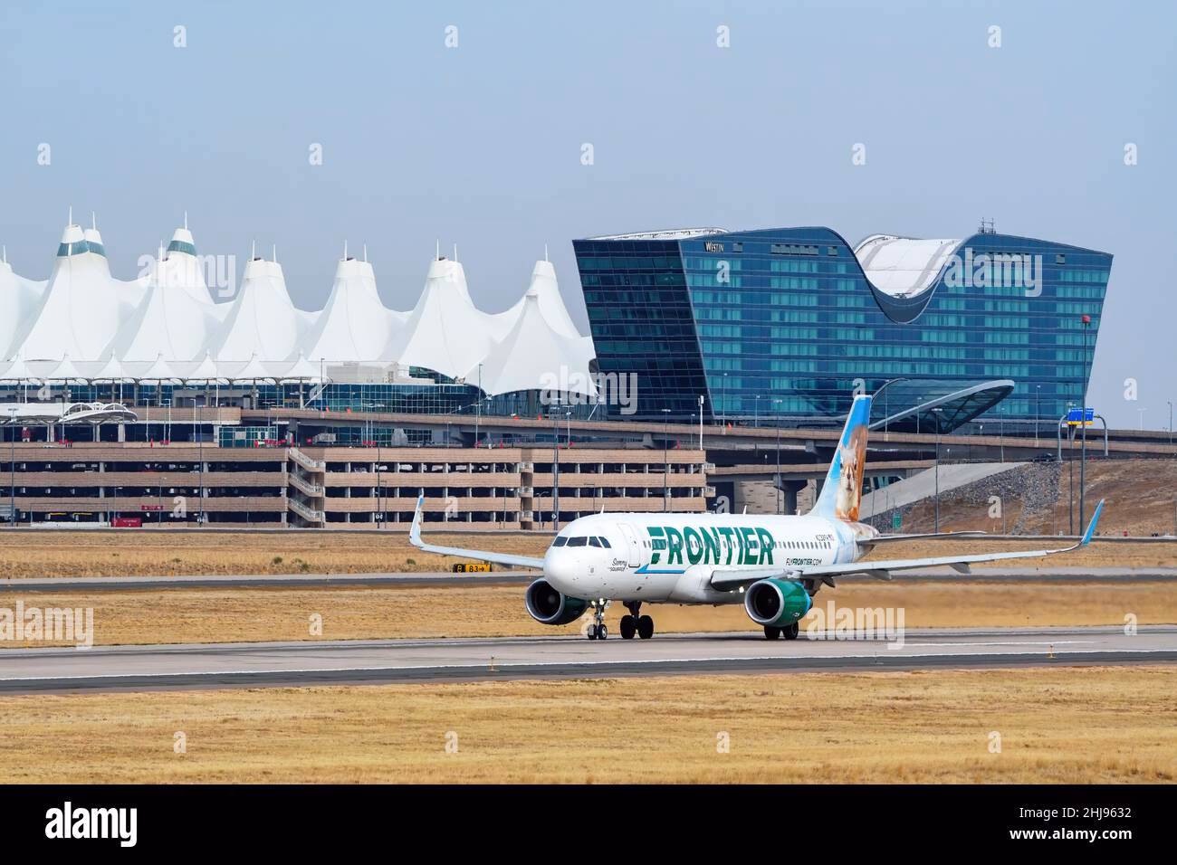 Why should you choose frontier bus hire?