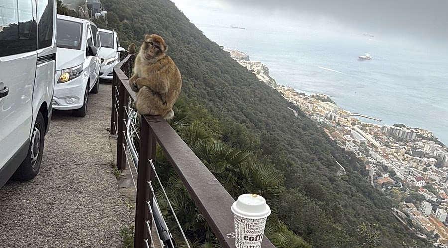 Can I cancel my tour around the rock of Gibraltar?