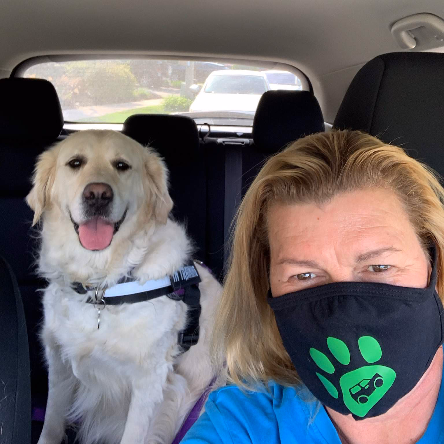 Who are pet cabs services?