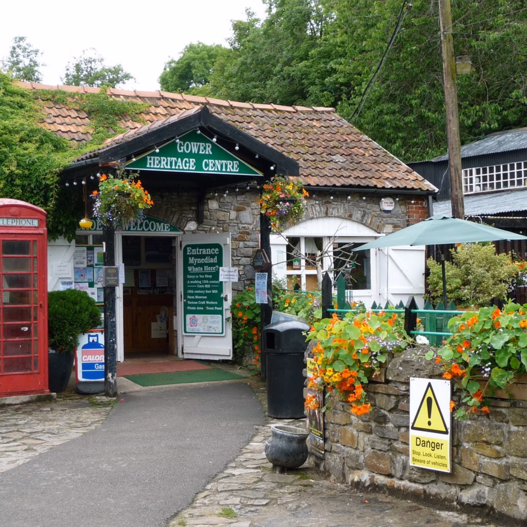 Are Dogs Allowed in the Gower Heritage Centre?
