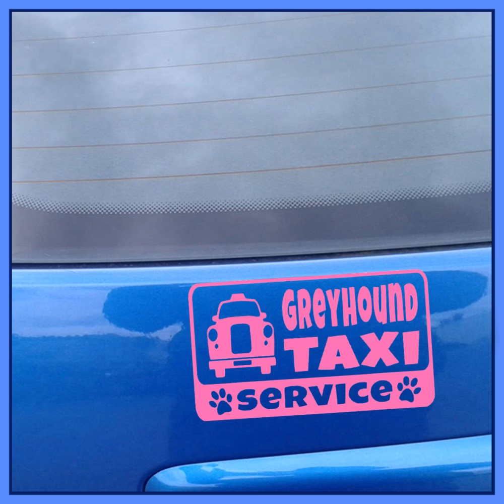 Who is the best private hire taxi company in London?