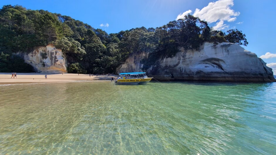 How to visit Hahei Beach?