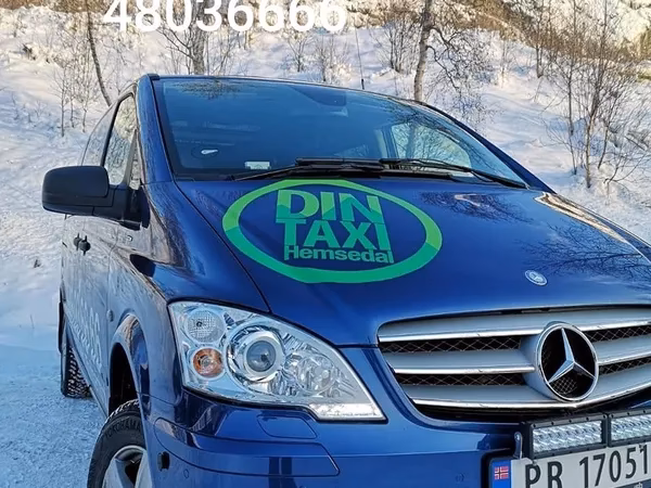 What services does Hemsedal taxi offer?